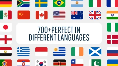 Perfect in Different Languages