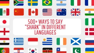500+ Ways to Say “Shark” in Different Languages