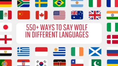 Wolf in Different Languages