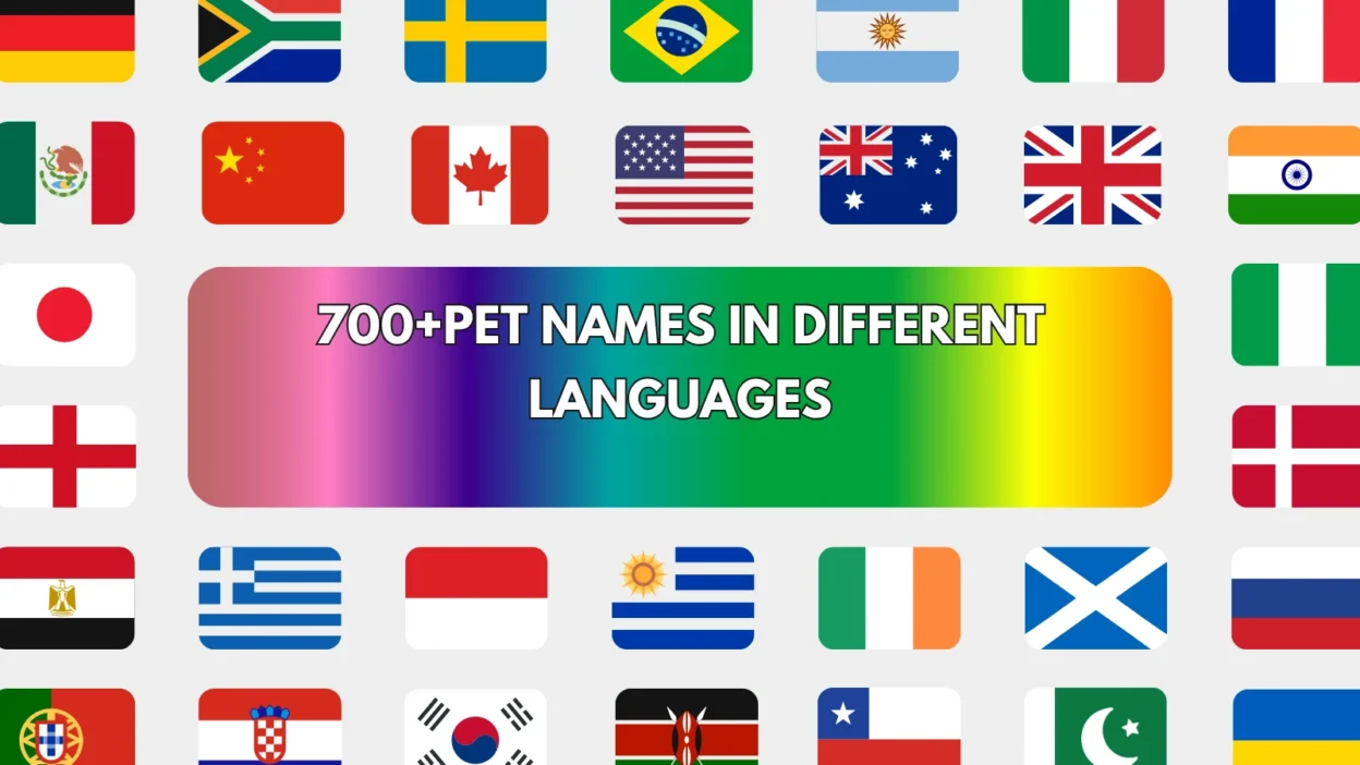 Pet Names in Different Languages
