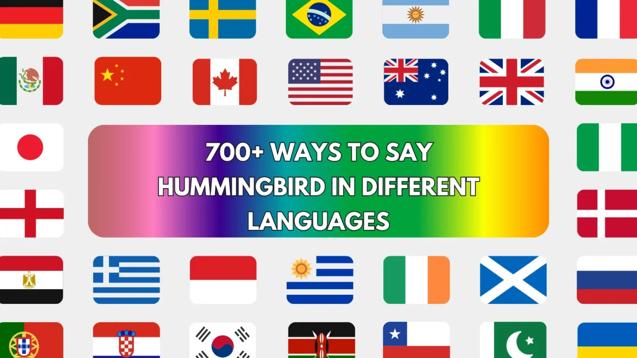 Hummingbird in Different Languages