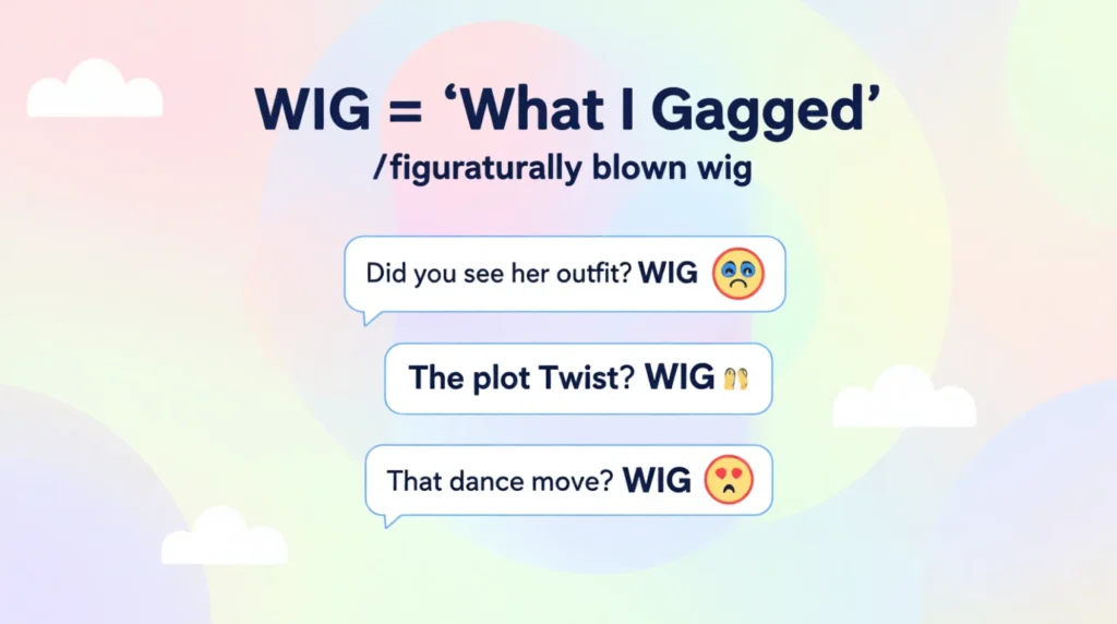 WIG Meaning