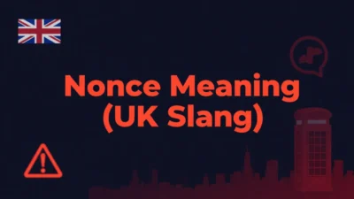 what does nonce mean in uk