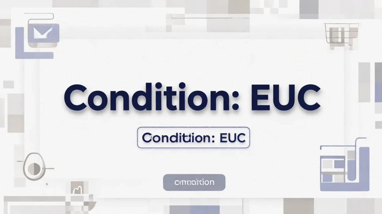 What Does EUC Mean on eBay?